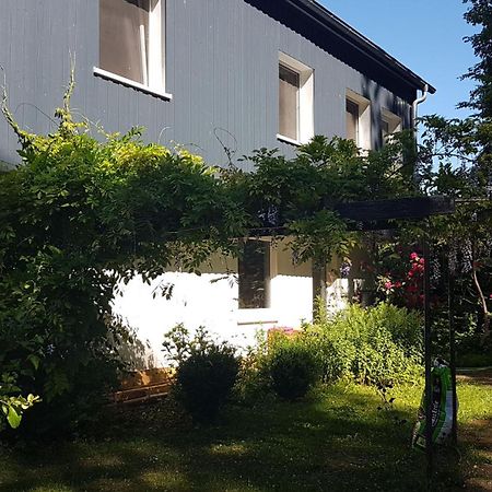 Ruhige Ferienwohnung „Suedhang“ Direkt Am Wald 바트아롤젠 외부 사진