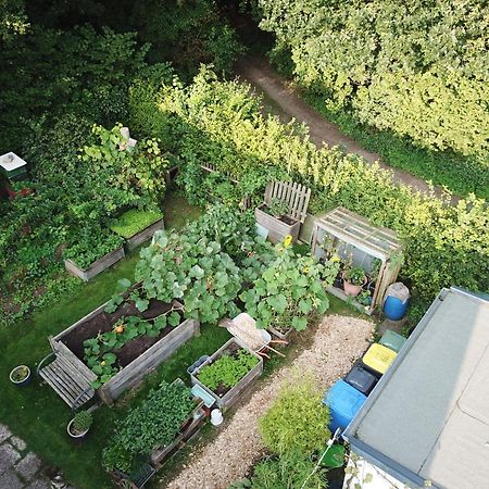 Ruhige Ferienwohnung „Suedhang“ Direkt Am Wald 바트아롤젠 외부 사진