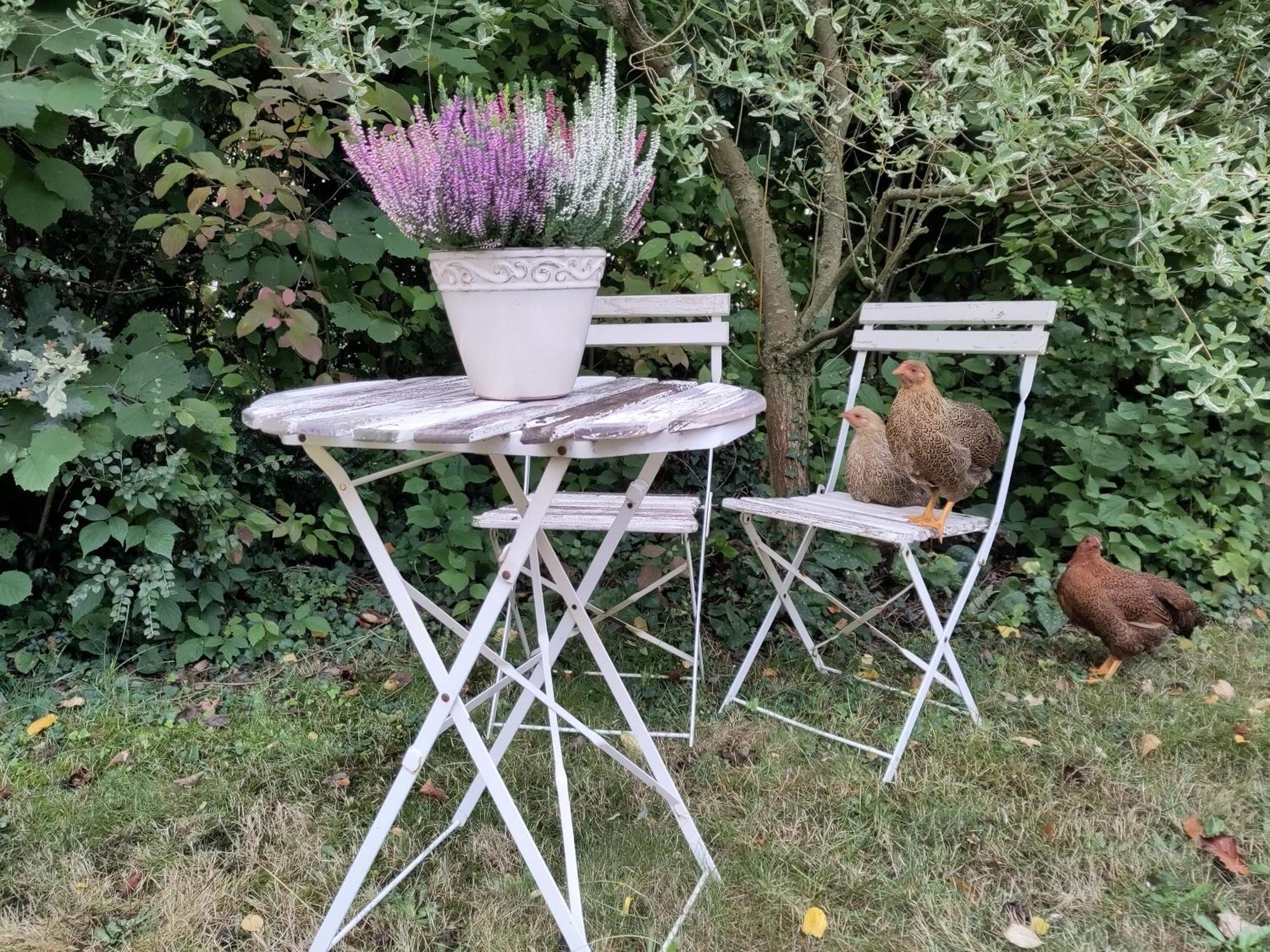 Ruhige Ferienwohnung „Suedhang“ Direkt Am Wald 바트아롤젠 외부 사진