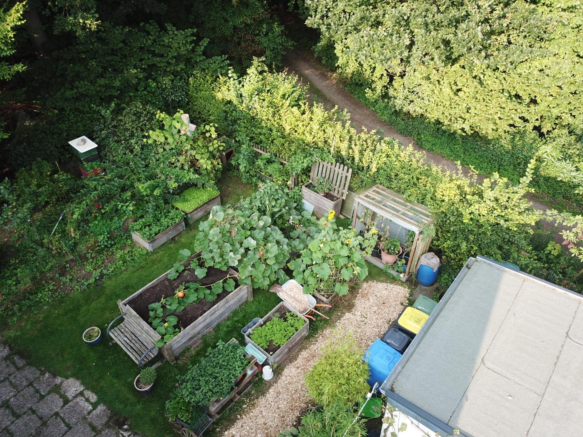 Ruhige Ferienwohnung „Suedhang“ Direkt Am Wald 바트아롤젠 외부 사진